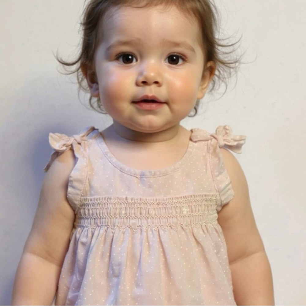 Vintage Sheer Embroidered Neutral Baby Dress